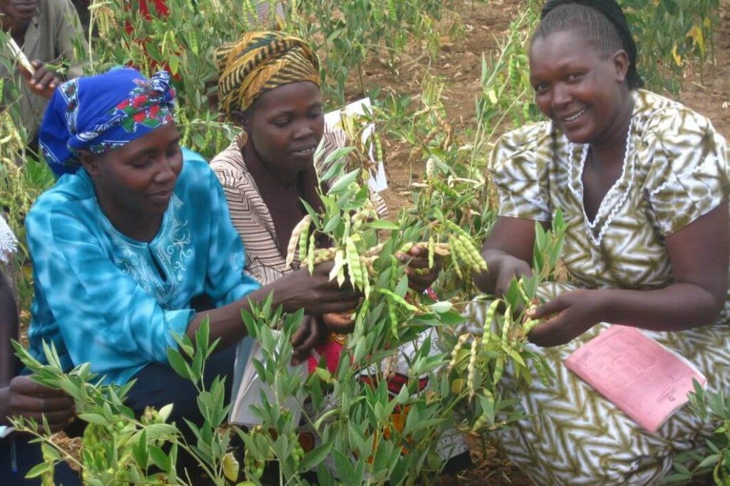 Support Christian Aid With AquAid Tyne and Wear